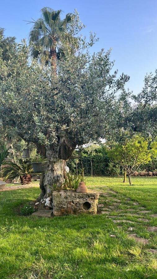 Castelvetrano La Finestra Sul Limone B&B 외부 사진